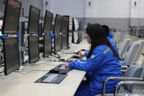 2024全國重點網絡媒體龍江行 大慶石化數字賦能生產助推高質量發展